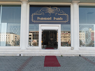 HASEL HALI