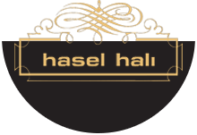 HASEL